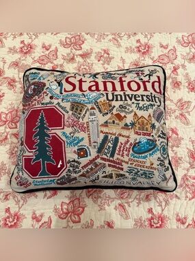 Rare Catstudio Fully Embroidered Studio Cream Throw Pillow all over Embroidery